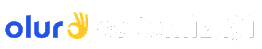 Ev Temizliği