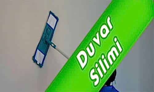 Duvar Silimi