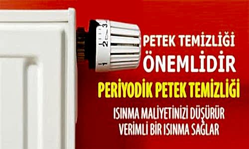 Petek Temizliği