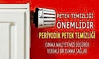 Petek Temizliği